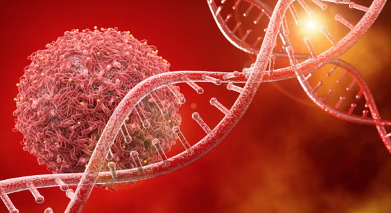 Active hexose correlated compound (AHCC) for Assisted Tumor Inhibition Active hexose correlated compound (AHCC) for Assisted Tumor Inhibition